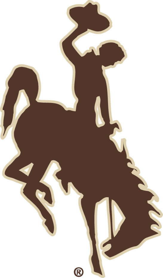 Wyoming Cowboys 2006-2012 Alternate Logo iron on transfers for clothing